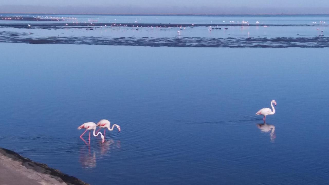 Haus Schaaf B&B Walvis Bay Exteriör bild